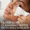 imageNeutrogena Makeup Remover Facial Cleansing Towelettes Daily Face Wipes to Remove Dirt Oil Makeup ampamp Waterproof Mascara Gentle AlcoholFree 25 ct