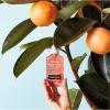 imageNeutrogena OilFree Pink Grapefruit Acne Face Wash Vitamin C ampamp Salicylic Acid Cleanser Daily Acne Treatment For Face Blemish ampamp Blackhead Clearing Facial Cleanser 91 fl ozGrapefruit