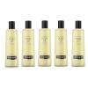 16 Fl Oz (Pack of 5)